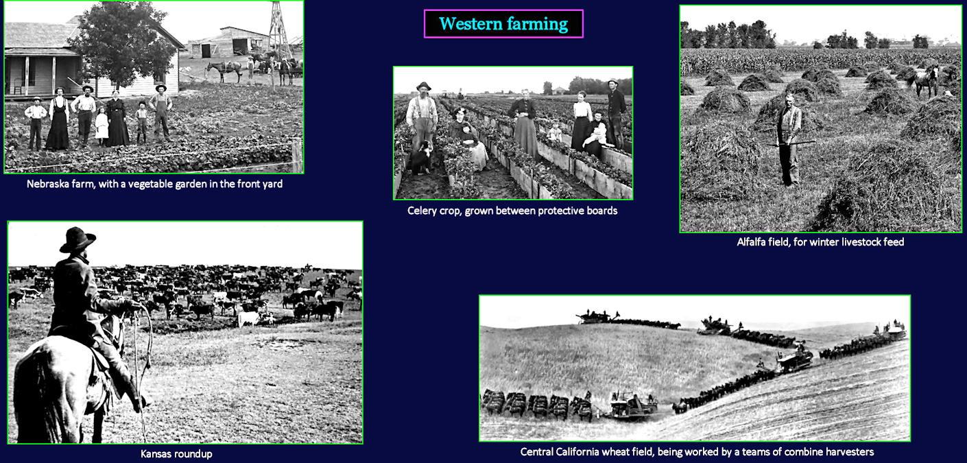 Western farming and ranching, 1910